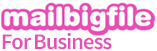 MailBigFile for business